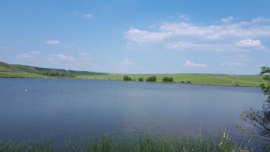 20190408_133846.jpg